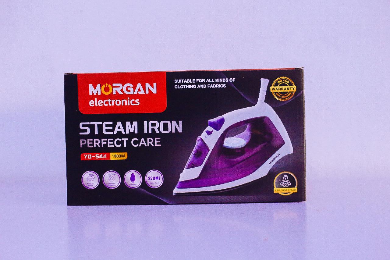Steam iron