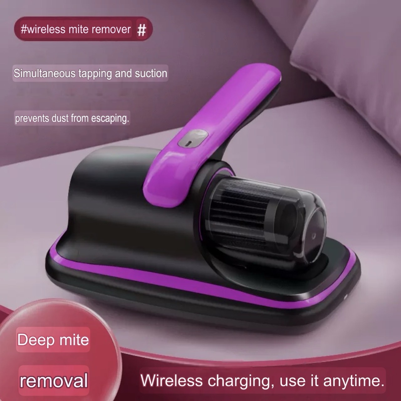 Dust mite remover