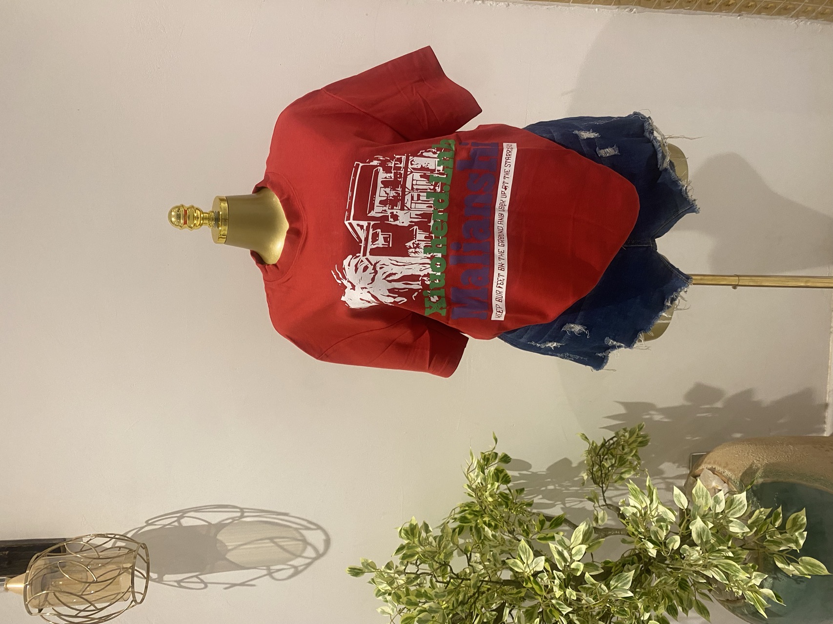 Image 7