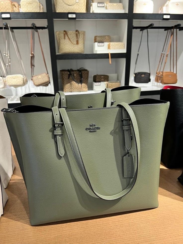 Coach bag(unique)