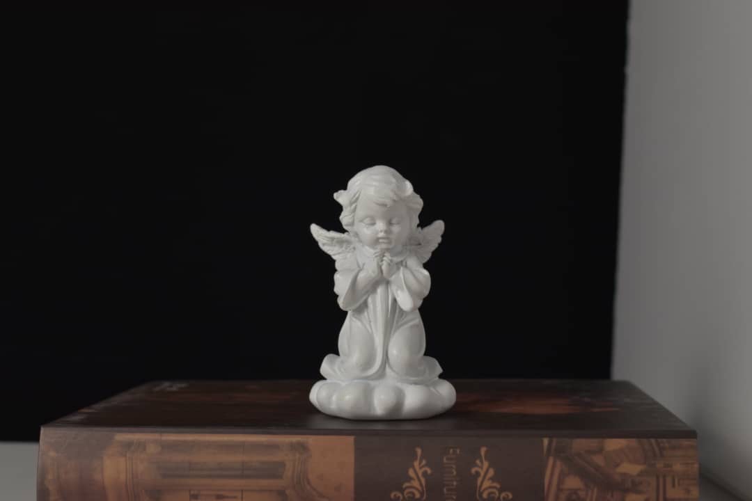 Image 8
