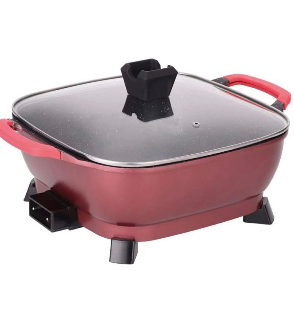 Multi purpose electric pot