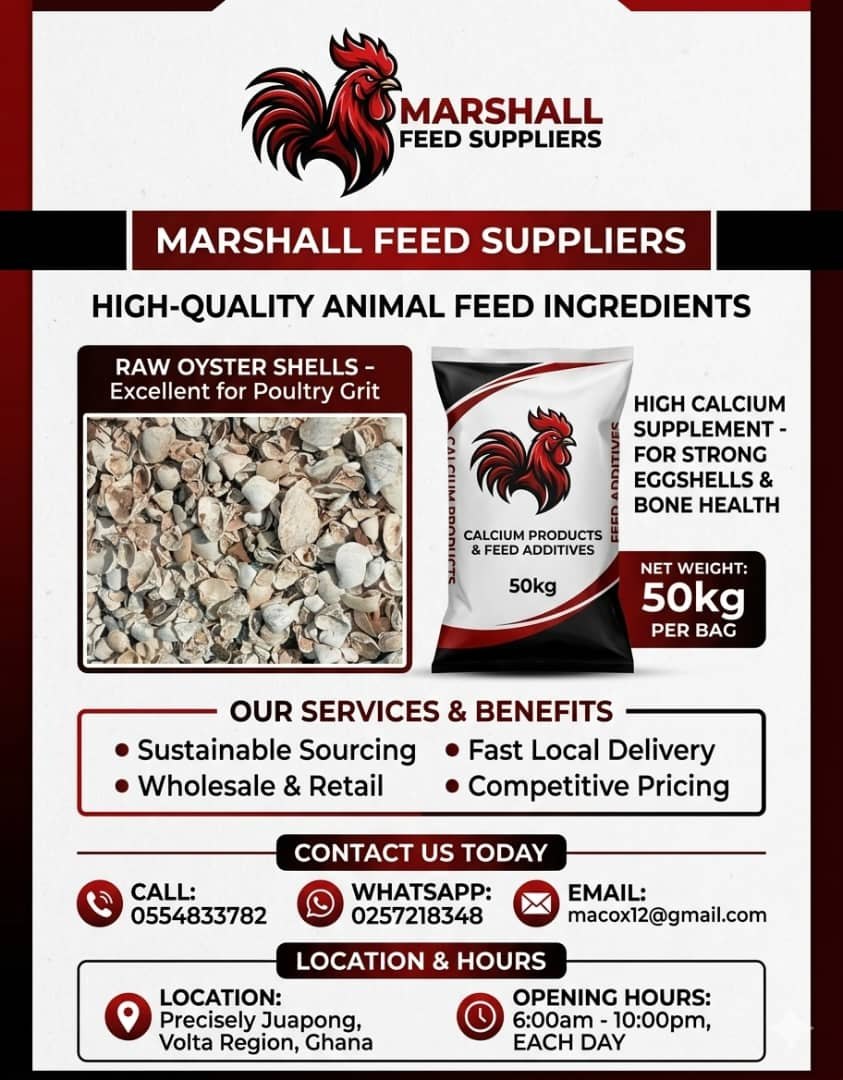 Raw crushed oyster shells