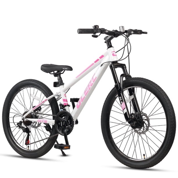 Sport bicycle with disc brakes_. mountain bike