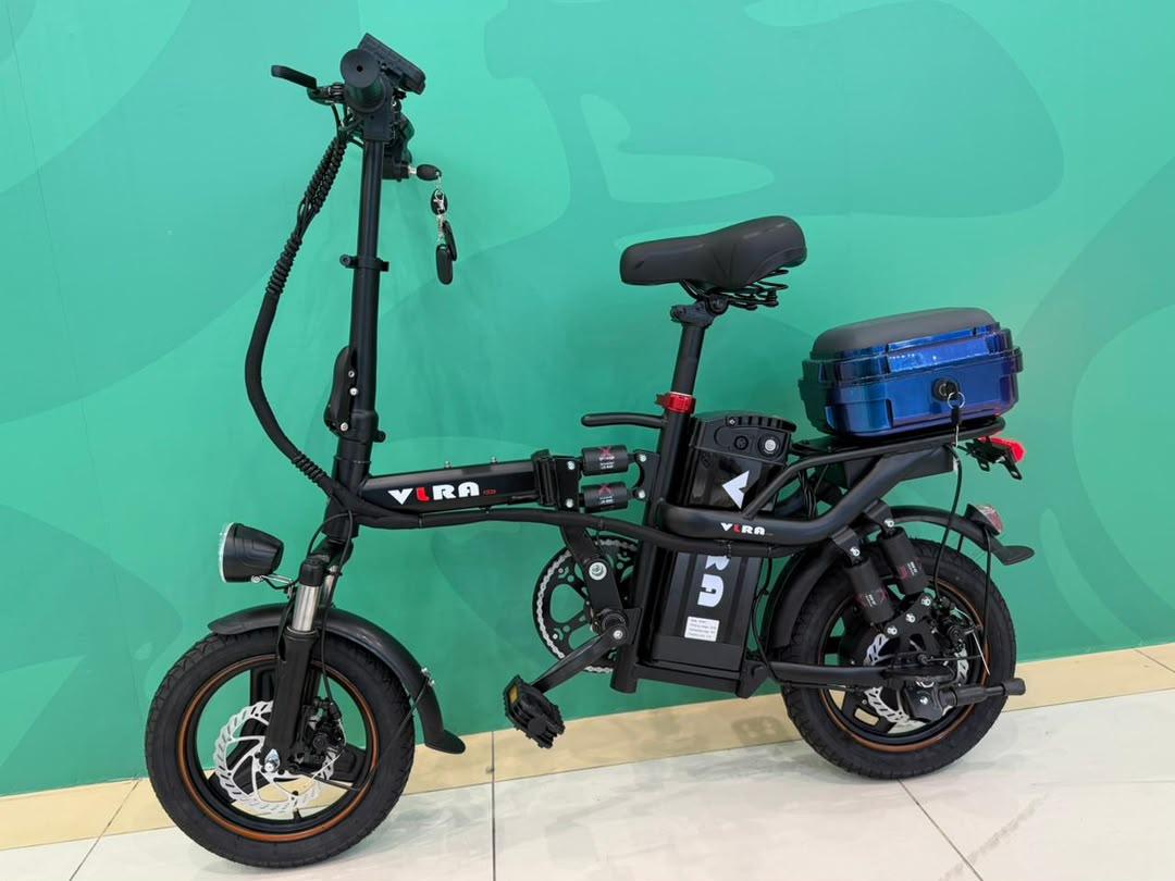 Electronic bike