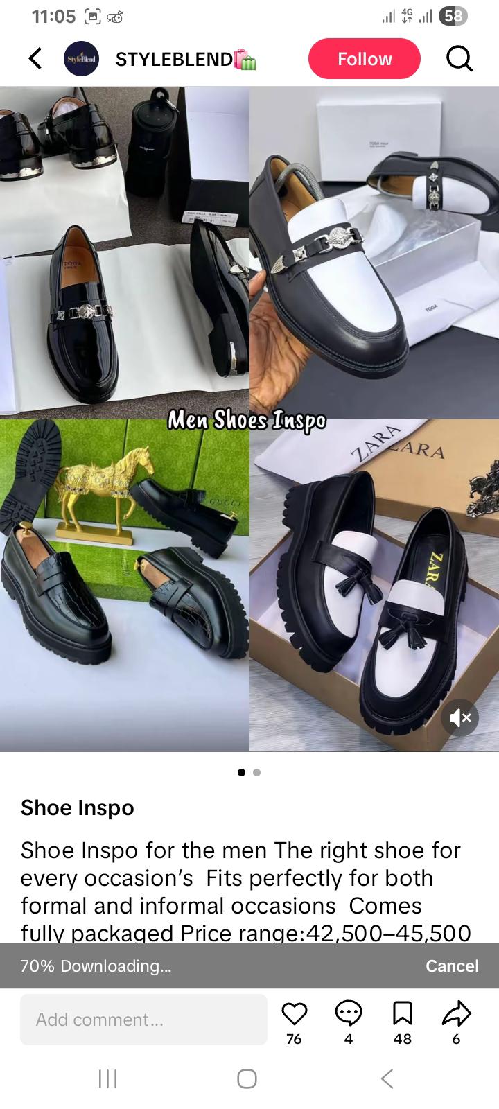Zara shoe