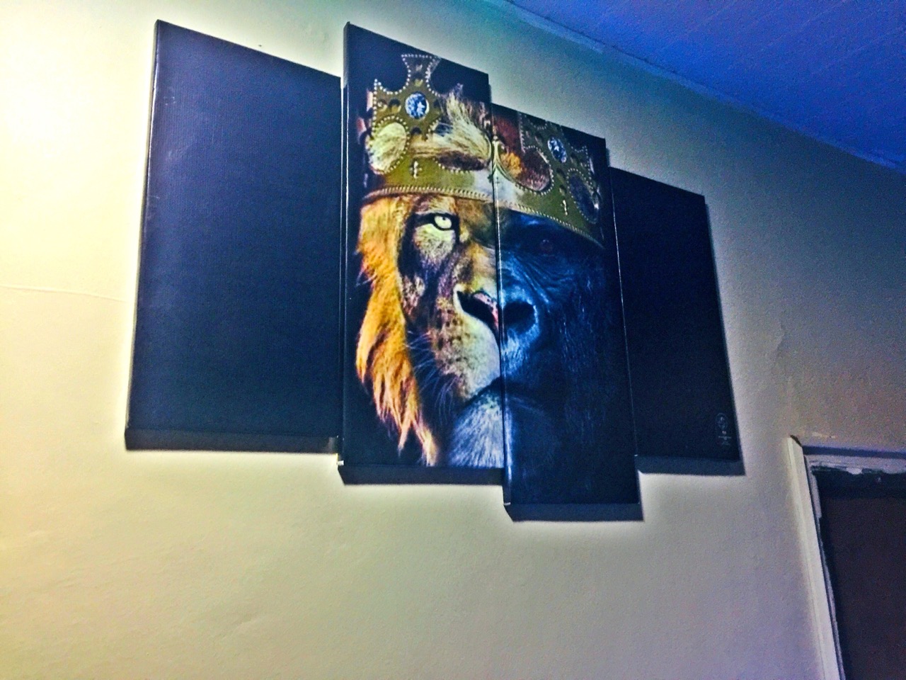Image 5