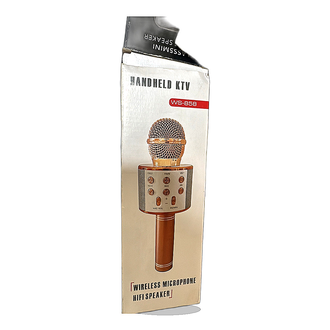 Bluetooth microphone and speaker